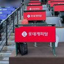 121 | 사직야구장 중앙탁자석 21블럭 1열 시야 후기 121블럭이랑 비교해봄