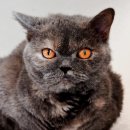 양호파크골프장 이미지