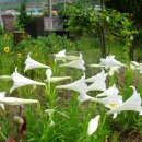 사리보건진료소 이미지