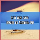 형도수산물 이미지