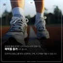 흑룡 합기도 이미지