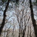 서곶근린공원 주차장 이미지