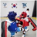 용인대 우리태권도장 이미지