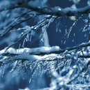 복정역2번출구앞 이미지