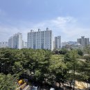 동성약품 | 수지 새집증후군, 죽전 현암마을 동성2차 인테리어 새집증후군 제거 후기