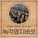 영지농장 | 녹각영지버섯으로 경험할 수 있는 몸이 느끼는 변화! 코로나에 좋은 음식!