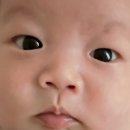 순천시보건소 | 순천 산후도우미 후기 / 산모피아 3주 이용 (비용, 환급, 요청사항, 팁 정리)