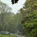 동민과일 | 일본의 골든 위크 보내기 근데 이제 등산을 곁들인…