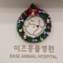 이즈병원 | [이문동 동물병원] 이즈동물병원 내돈내산 후기 : 강아지 디스크 검진 &amp; 귓병 진료