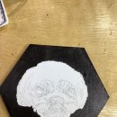 라온하제아트