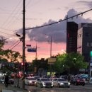 노을약국 이미지