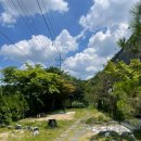 멍데이즈 이미지