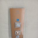 옛시청길 이미지