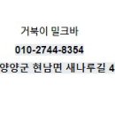 거북이 밀크바