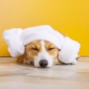 내장축산 이미지