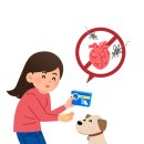 에이메디칼약국 이미지