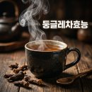 옵투스제약 | 둥글레차효능 탈모 관리와 부작용 직접 겪어본 솔직 후기