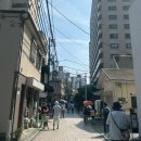 DOG&U | 일본 여자 혼자_5박 6일 (3) 가마쿠라 해변에서 수영 I 행복과 분노의 여행