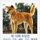 진도개영농조합 네이버블로그