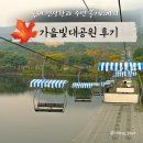 가을빛 | 가을 축제는 여기! 서울대공원 단풍축제 가을빛대공원 따끈 후기