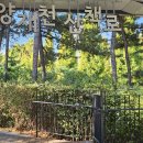 10월23일(금) 매봉산.양재천산책로 이미지