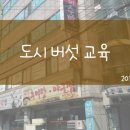 녹색환경기술학원