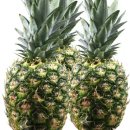 파인애플 이미지