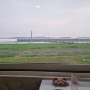 라온제나풀빌라펜션 이미지