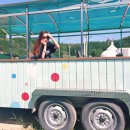 설천 기곡 호롱불마을 | [무주팸투어] 무주 마을로가는 축제 / 반딧불이축제 2일차