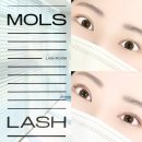 김가현메이크업 | 서울대입구 속눈썹 몰스래쉬 L컬 블랙코팅펌 후기 | 봉천동 속눈썹펌 추천
