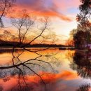 이모네순대 이미지