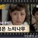 [TV문학관] 제238화 젊은 느티나무 (1986/11/29 방송) 이미지