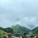 철수목장 이미지