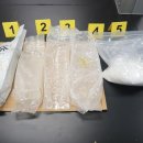 우연공조 이미지