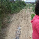 토토농장 이미지