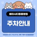 베이시티 동물병원 이미지