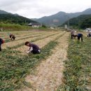 맑은물사업소 이미지