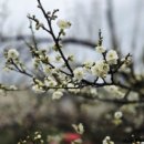 원동역 관광안내소 이미지