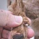 멍무드 살롱 이미지