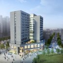 이더펠리체 이미지