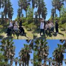 스콜복싱 이미지