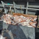 왕지경로당 이미지