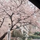 선경성지곡 | 부산진구 보일러 교체 초읍동 선경성지곡아파트 대성쎌틱 친환경 콘덴싱 보일러 설치 후기