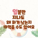 잘 풀리는 행정사 사무소 네이버블로그