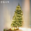 문동사색 이미지