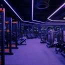 머스트 핏 | [대전 헬스장] 머스트핏 봉명점 대전 봉명동 프리미엄 헬스장