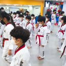 용인대석사 참바른 태권도 이미지
