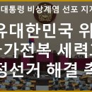 계엄령과 부정선거 이미지