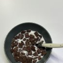 고산흑염소 - 유성구 반석로 54 | 임신 11주차 일상 입덧 먹덧 증상 초음파 목투명대 기형아 검사 성별 후기