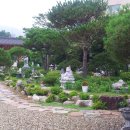 달마공원 Daum카페